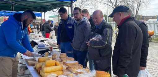 ujra tama termeloi vasar