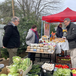 ujra tama termeloi vasar