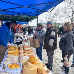 ujra tama termeloi vasar