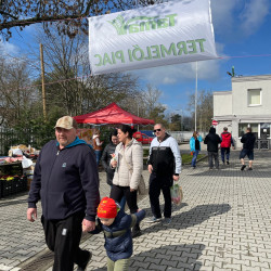 ujra tama termeloi vasar