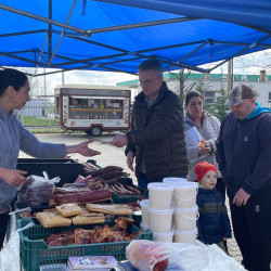 ujra tama termeloi vasar