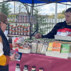 ujra tama termeloi vasar