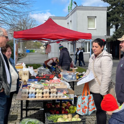 ujra tama termeloi vasar