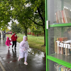 iii. tama varosnapi futas050