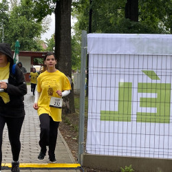 iii. tama varosnapi futas081