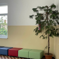 iskolafelujitas mikepercsen17