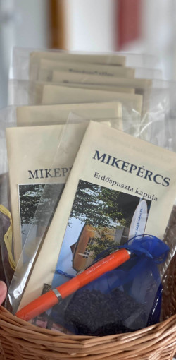 iskolafelujitas mikepercsen33