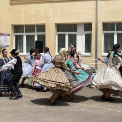 iskolafelujitas mikepercsen84