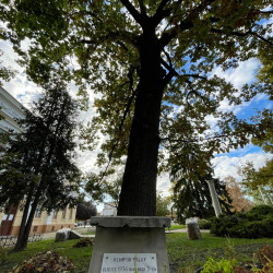 kabos endrere emlekeztunk48