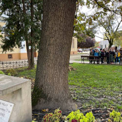 kabos endrere emlekeztunk49