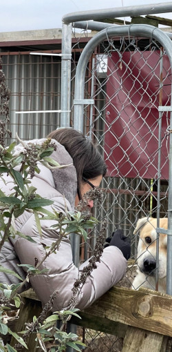 karacsonyi adomany a bihari vallalkozoktol73