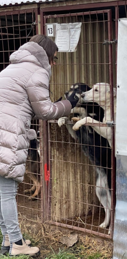 karacsonyi adomany a bihari vallalkozoktol79