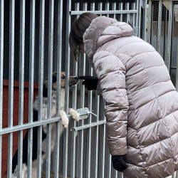 karacsonyi adomany a bihari vallalkozoktol83