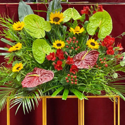 elismeresek a varos napjan22