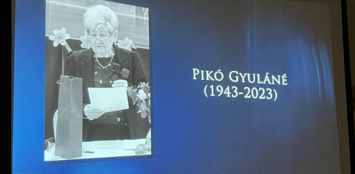 elismeresek a varos napjan27