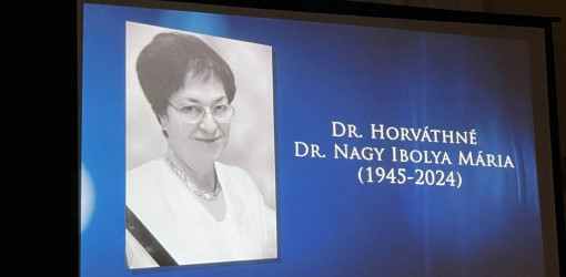 elismeresek a varos napjan28