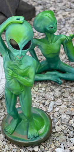 mindent is kereskedes berettyoujfaluban11