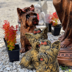 mindent is kereskedes berettyoujfaluban19