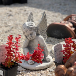 mindent is kereskedes berettyoujfaluban20