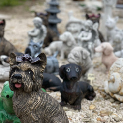 mindent is kereskedes berettyoujfaluban64