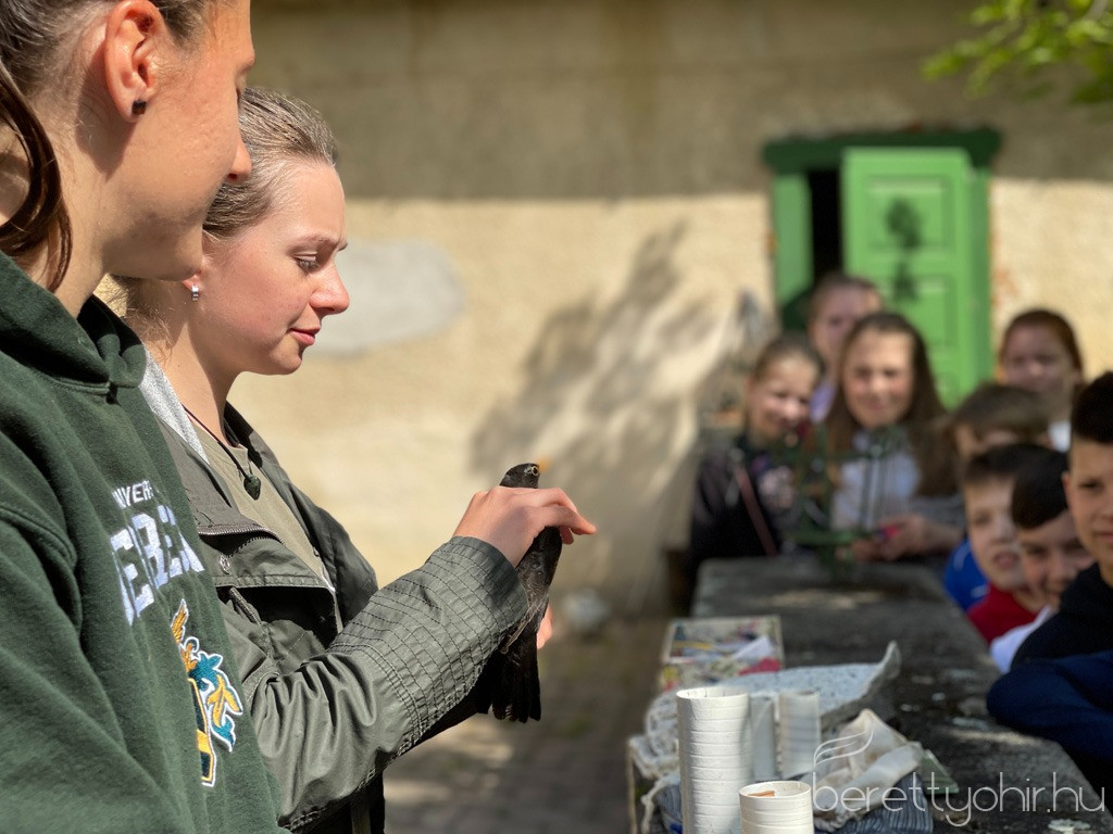 fak madarak napja 04 1600 1000 100 wm right bottom 100 berettyohirlogowhitepng