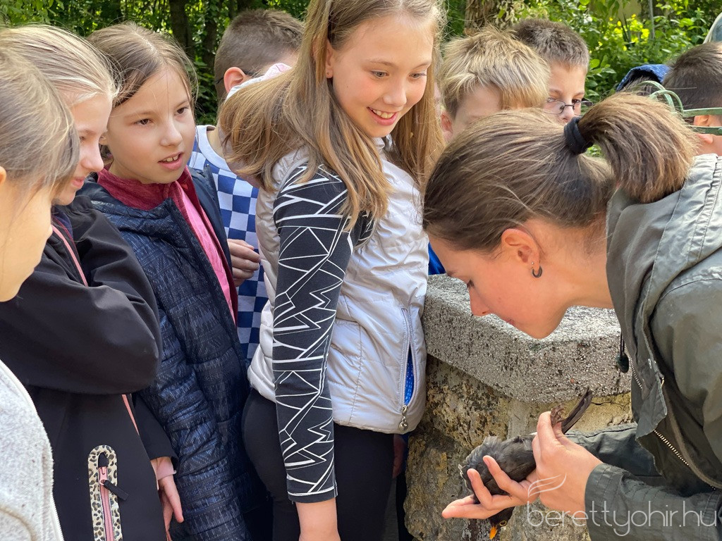 fak madarak napja 08 1600 1000 100 wm right bottom 100 berettyohirlogowhitepng