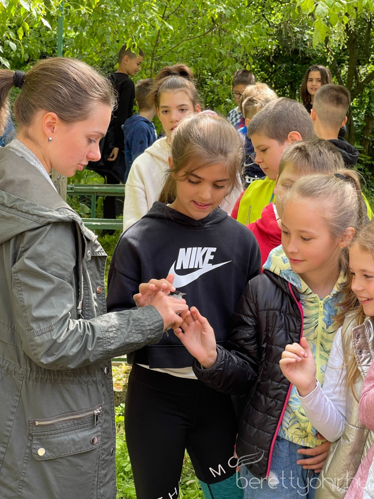 fak madarak napja 34 1600 1000 100 wm right bottom 100 berettyohirlogowhitepng