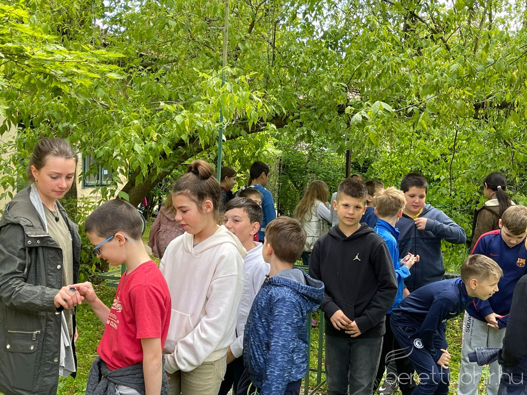 fak madarak napja 35 1600 1000 100 wm right bottom 100 berettyohirlogowhitepng