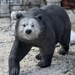 mindent is kereskedes101