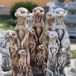 mindent is kereskedes122