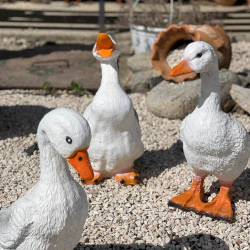 mindent is kereskedes74