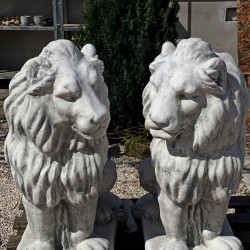 mindent is kereskedes82