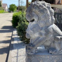 mindent is kereskedes95