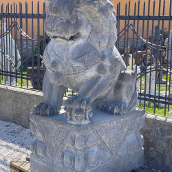 mindent is kereskedes96