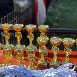 mozdulj berettyoujfalu