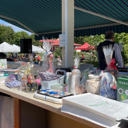 nyugdijas talakozo a bihar termalligetben08