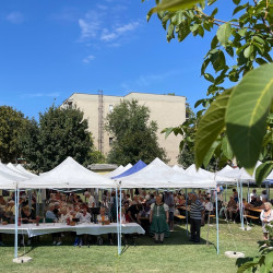 nyugdijas talakozo a bihar termalligetben14