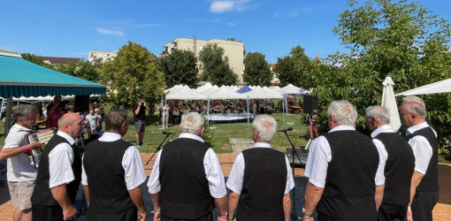 nyugdijas talakozo a bihar termalligetben20