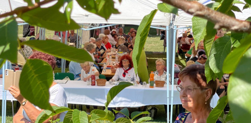 nyugdijas talakozo a bihar termalligetben23