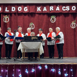 nyugdijasok karacsonyi unnepsege10