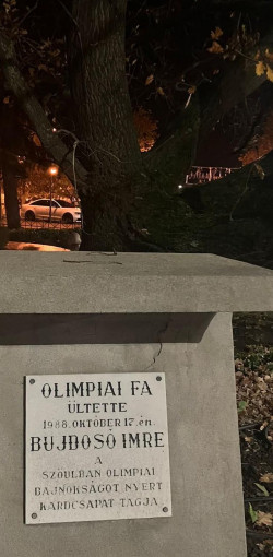 Olvasás Olimpia - Bujdosó Imre városunkban 