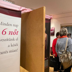 ki a kovetkezo fotokiallitas30