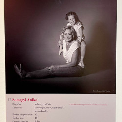 ki a kovetkezo fotokiallitas33