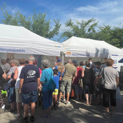 richter egeszsegvaros037