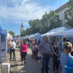 richter egeszsegvaros043