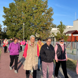 rozsaszin botorkalas15