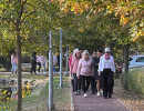 rozsaszin botorkalas25
