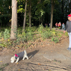 rozsaszin botorkalas45