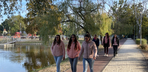 rozsaszin botorkalas53