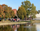rozsaszin botorkalas55